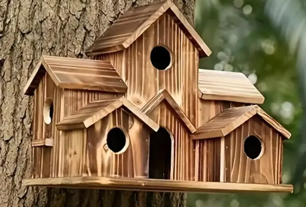 Casa de colibrí